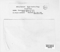 Image Associated With the Occurence